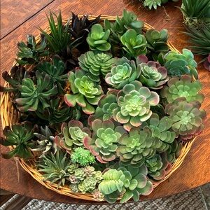 Faux Succulents 60 Pieces for Home Decor